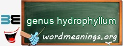 WordMeaning blackboard for genus hydrophyllum